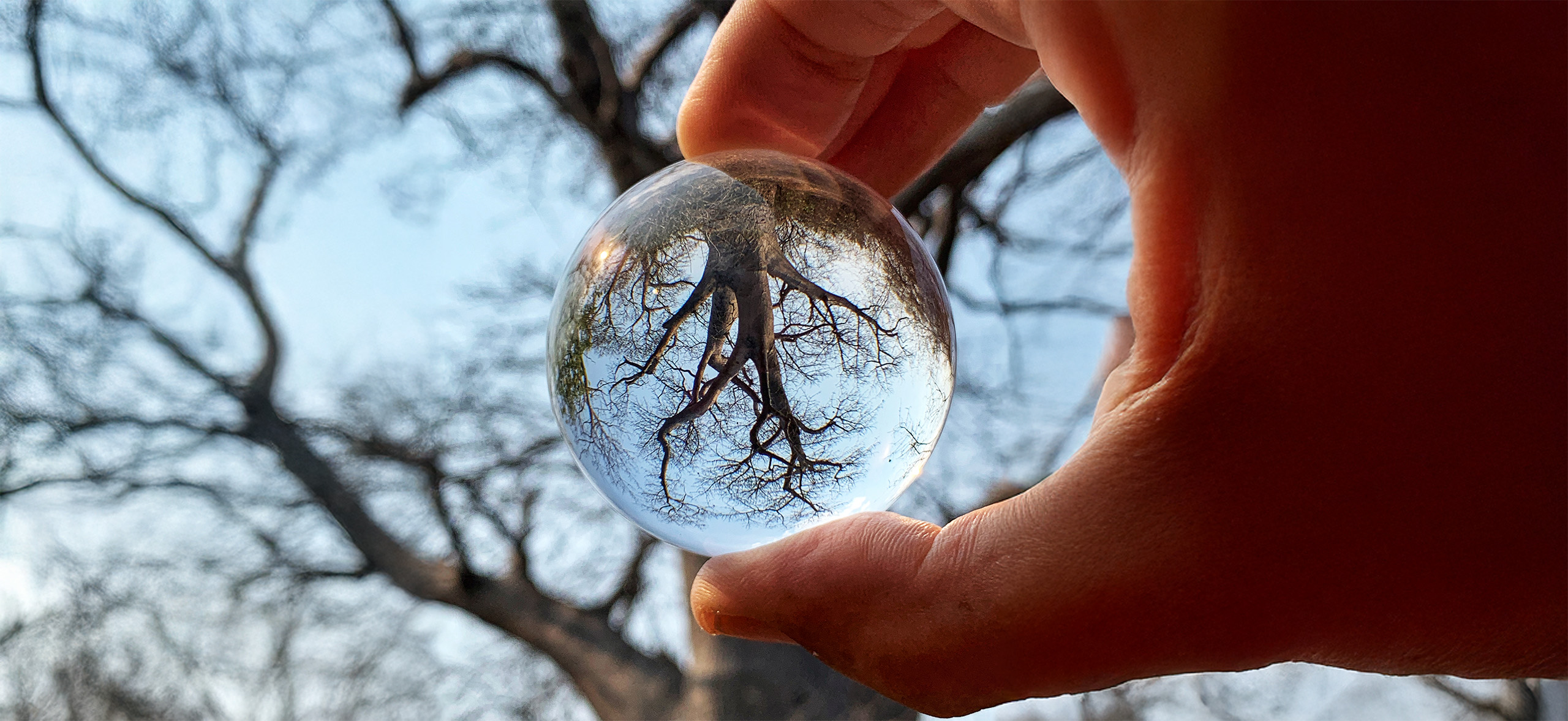 Advancing Teaching Excellence Through Scholarship: Reflections on Two Faculty Cohorts from the College of Dentistry